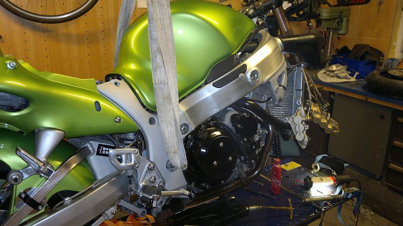busa21 (1).jpg